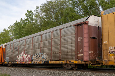 TTGX 982123