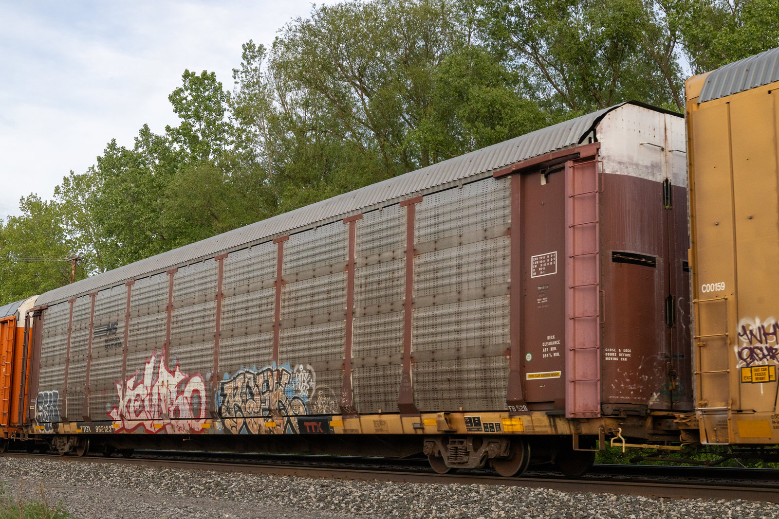 TTGX 982123