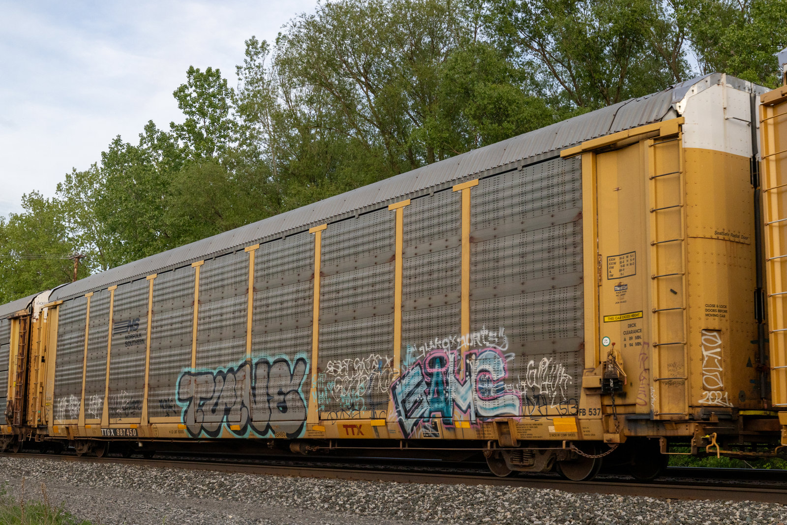 TTGX 987450