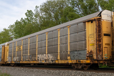 TTGX 983111