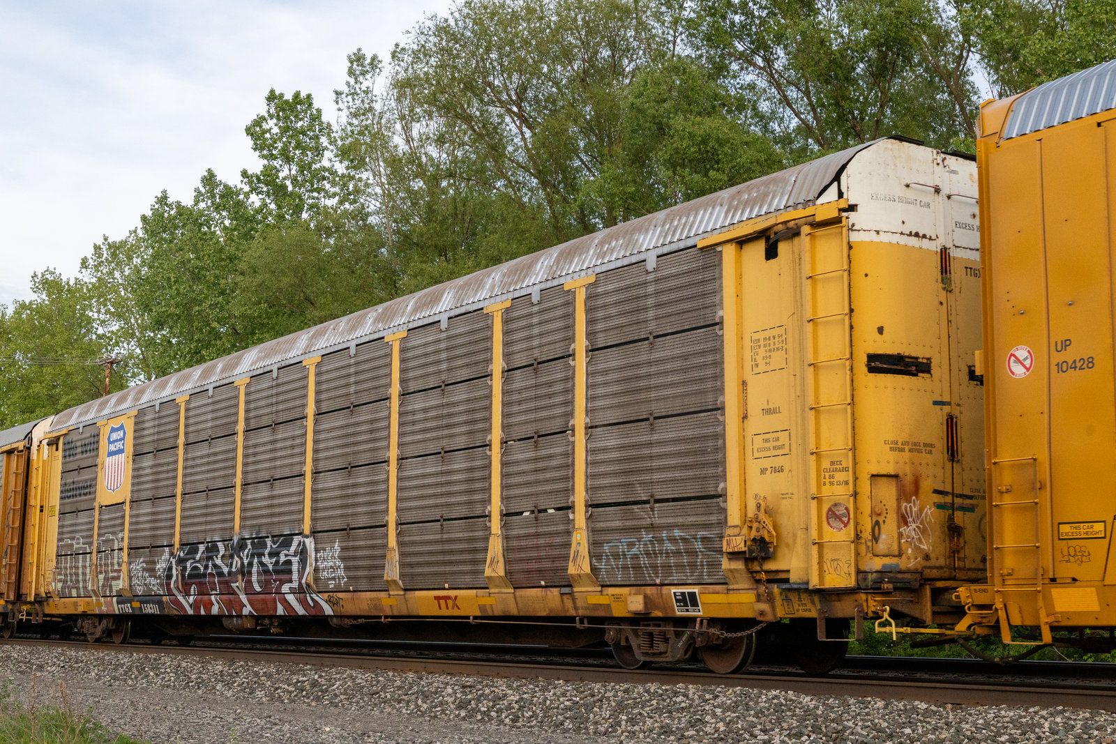 TTGX 158311