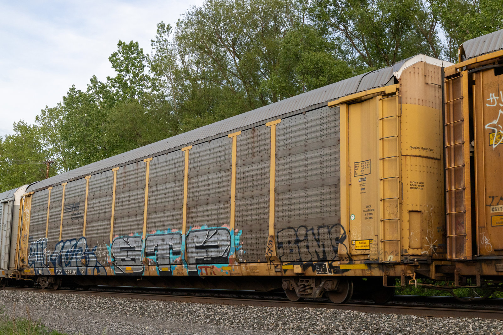 TTGX 983791