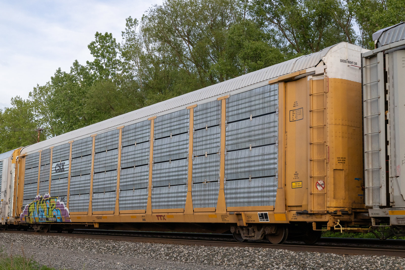 TTGX 986169