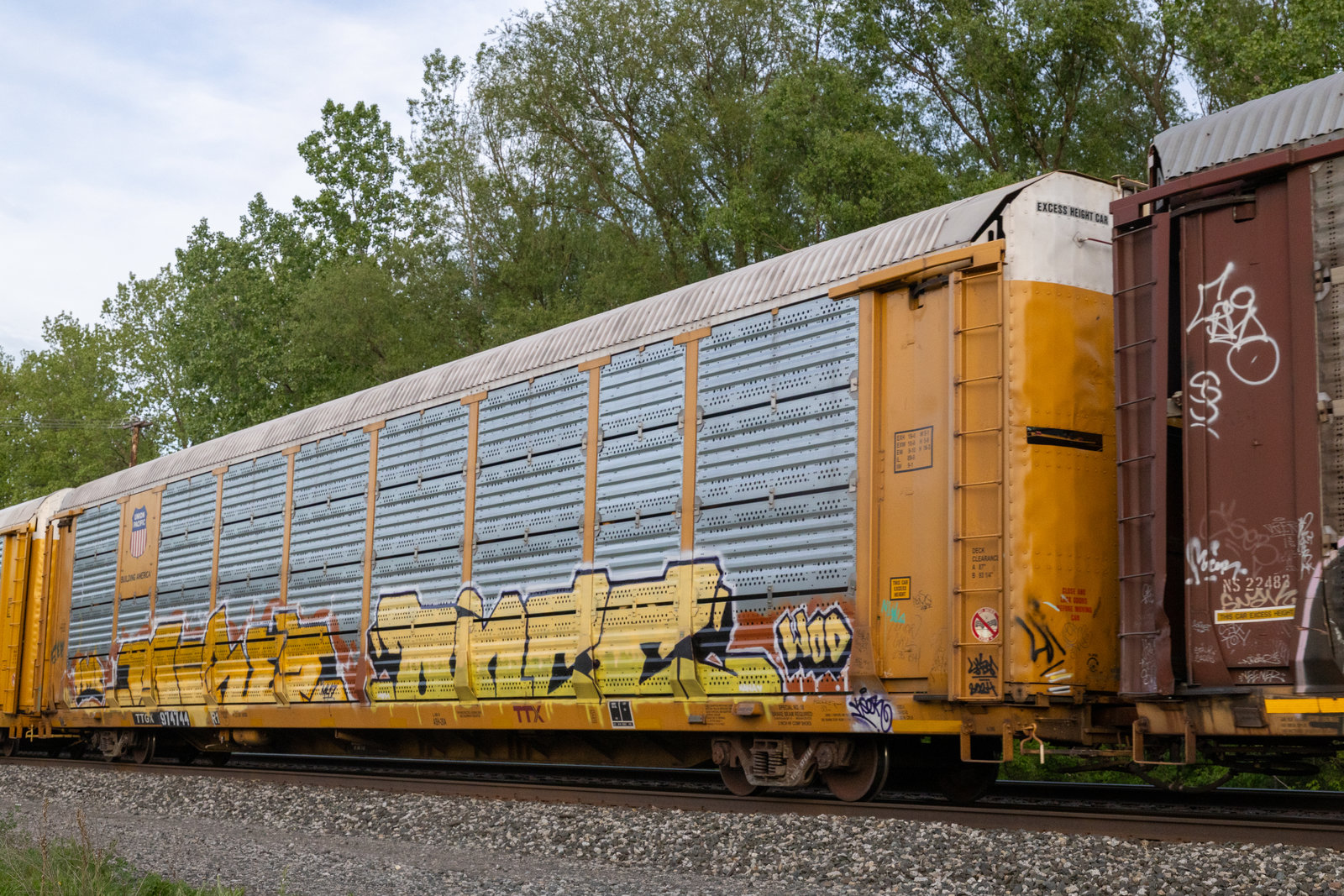 TTGX 974744