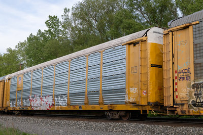 TTGX 982373