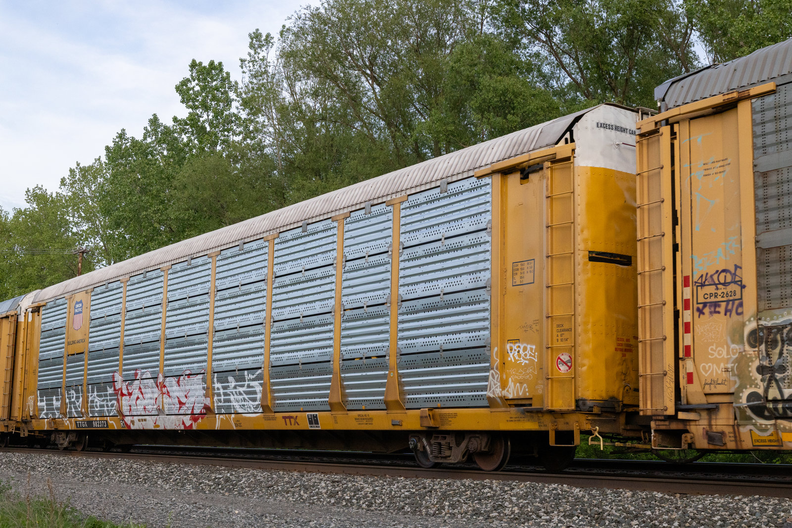 TTGX 982373