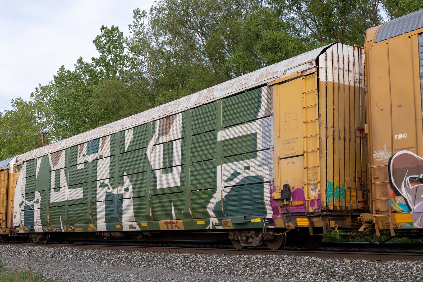 TTGX 254217