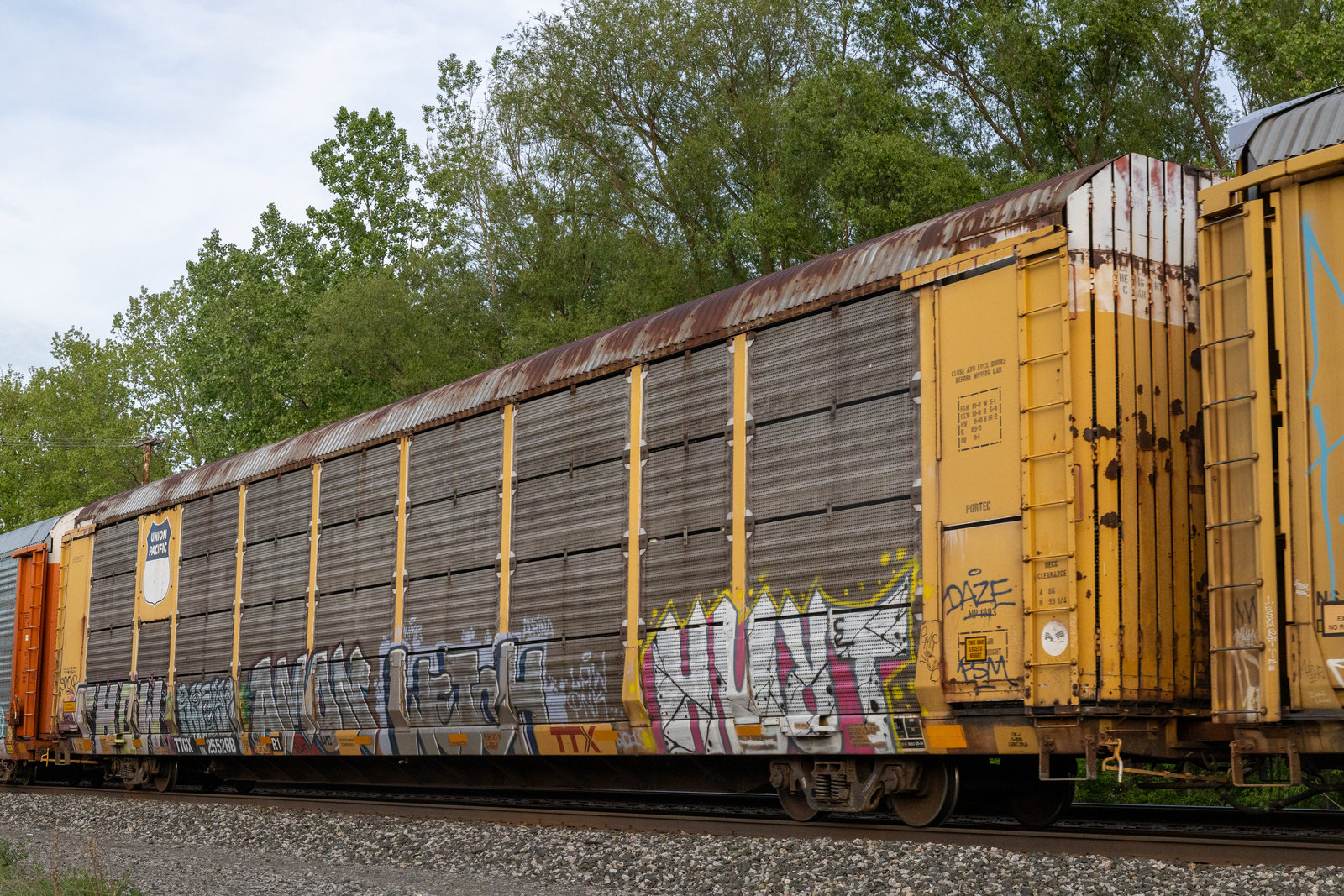 TTGX 255288