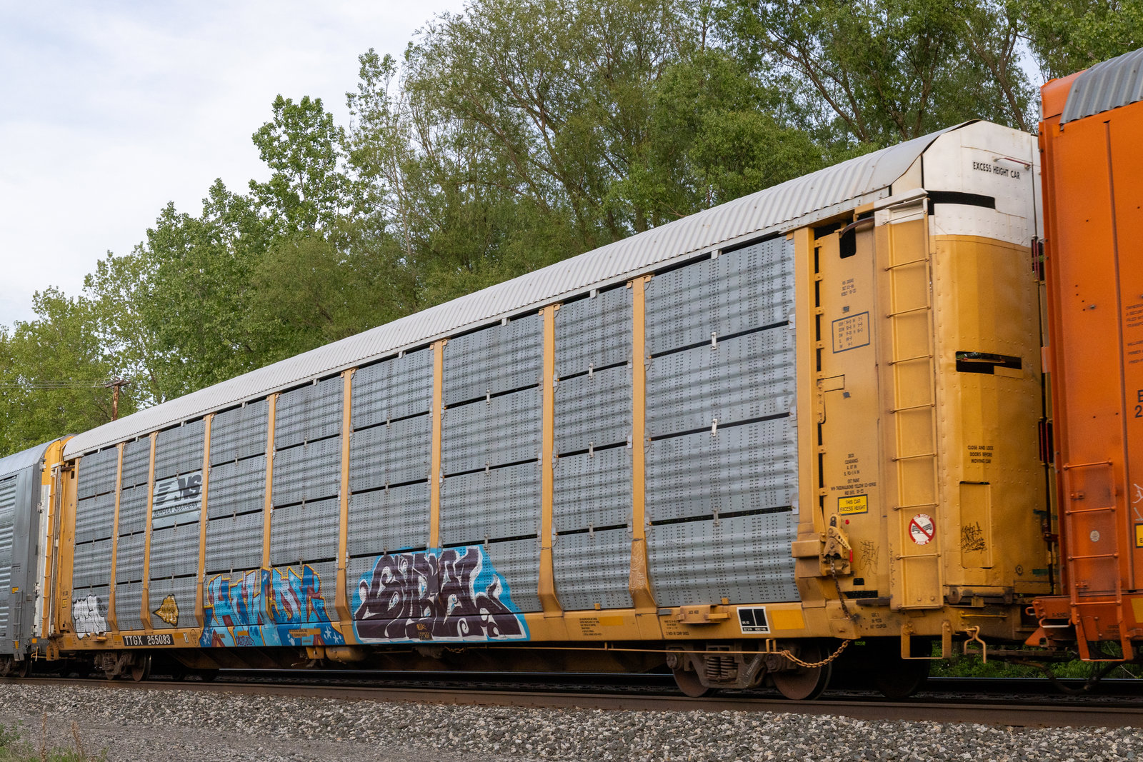 TTGX 255083