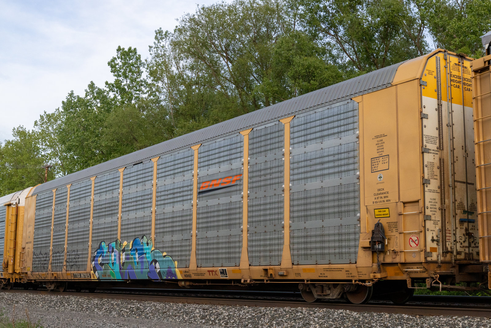 TTGX 967025