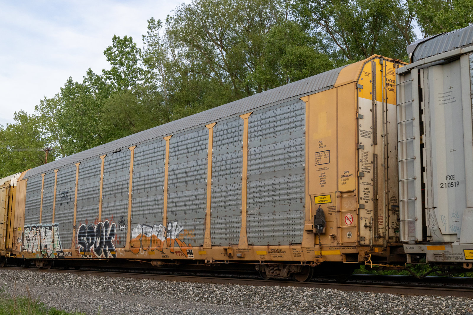 TTGX 715830