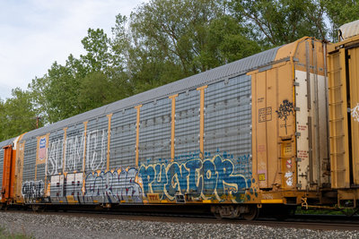 TTGX 715511