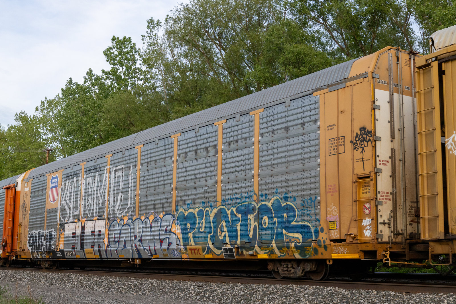 TTGX 715511
