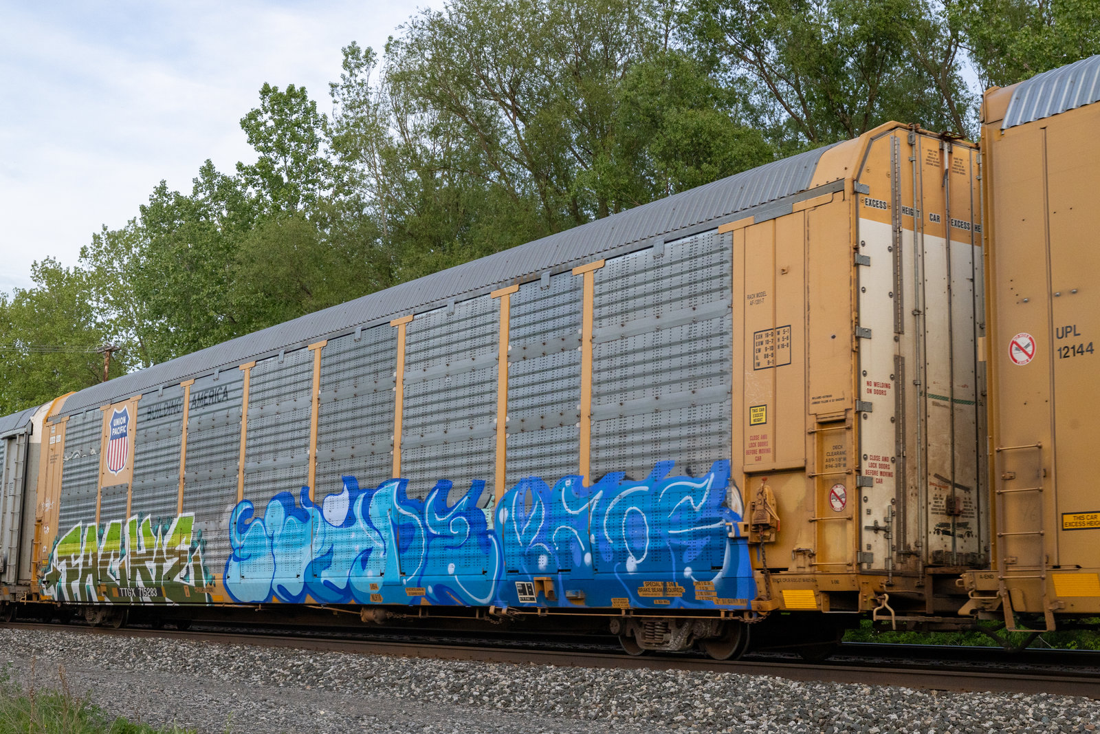 TTGX 715283