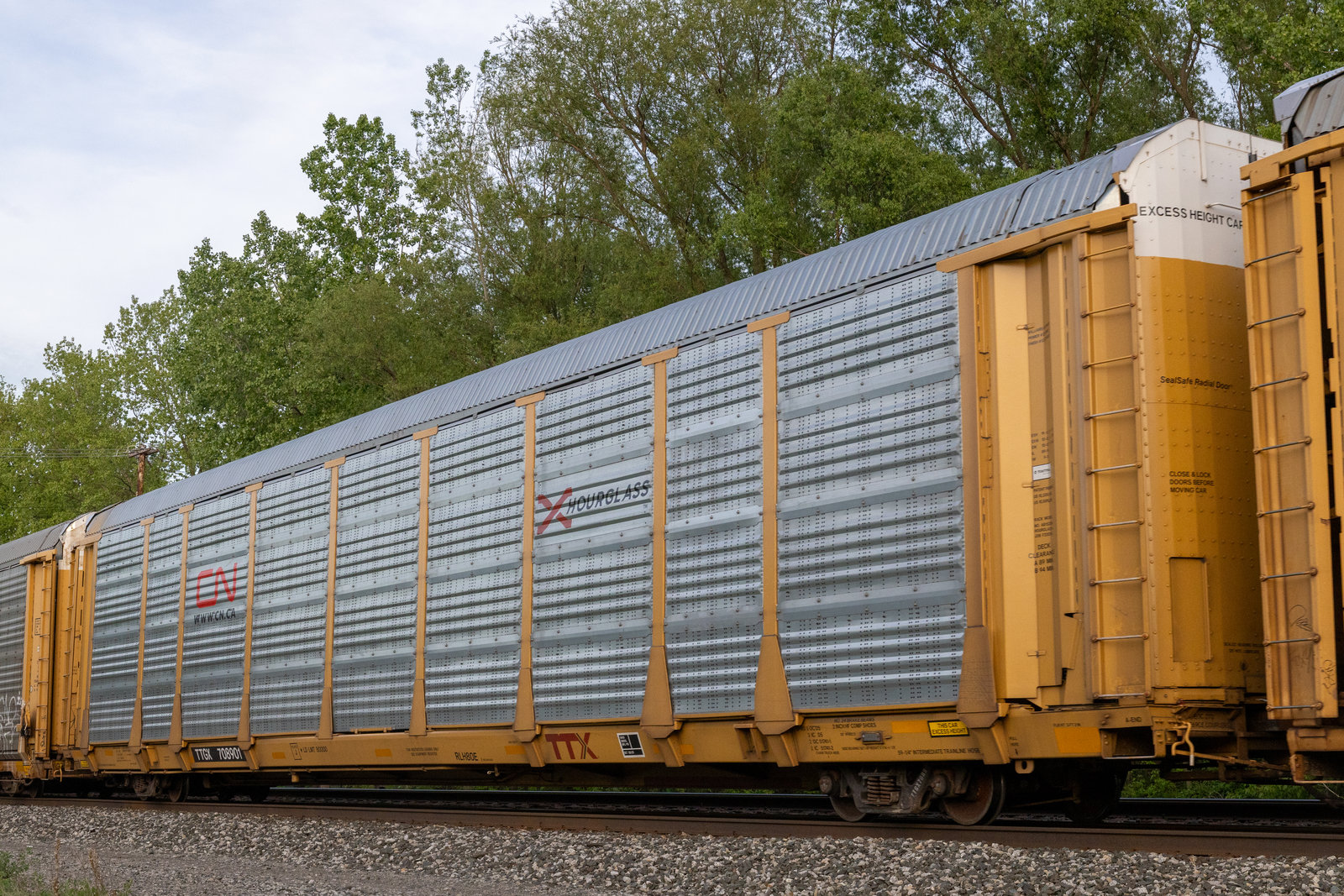 TTGX 708901