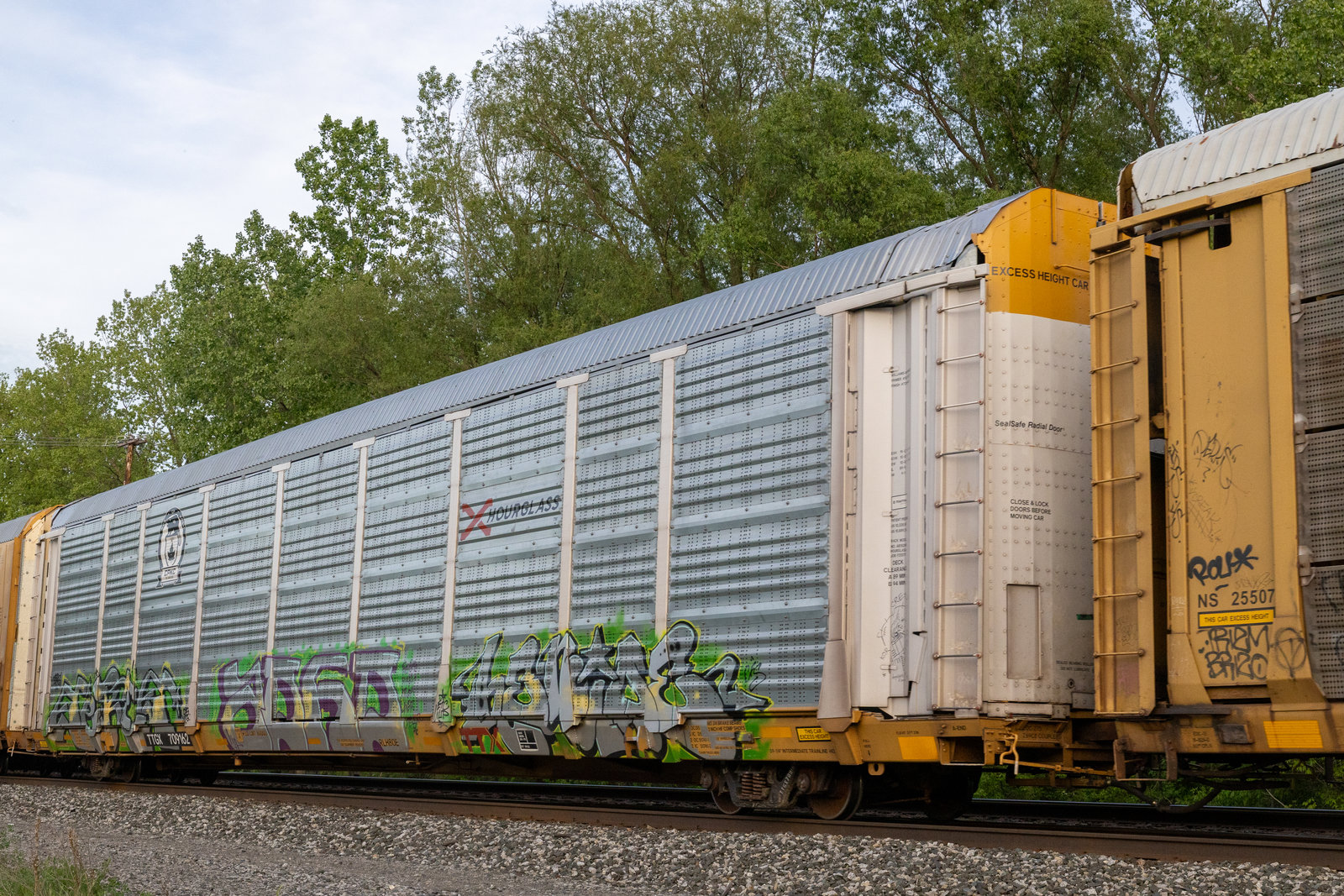 TTGX 709162