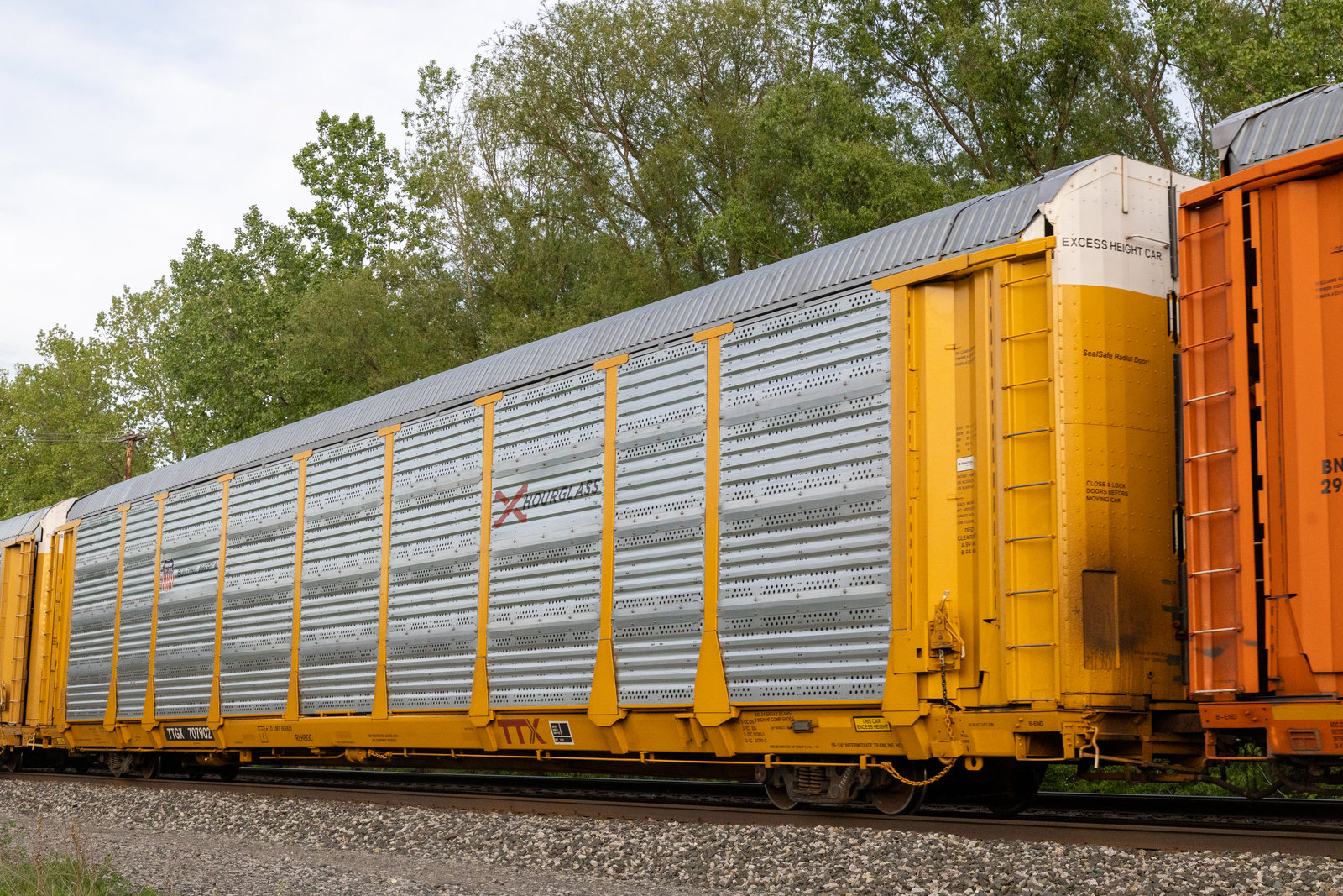 TTGX 707902