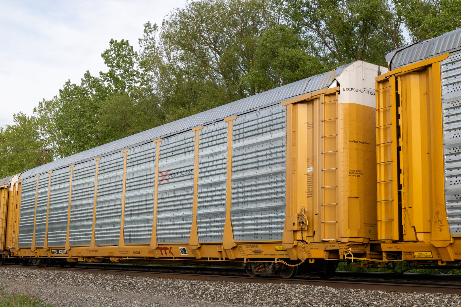 TTGX 835777