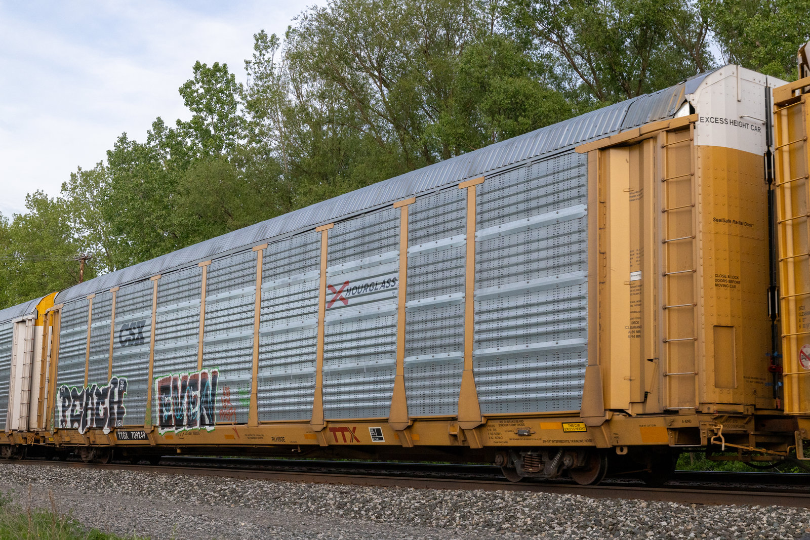 TTGX 709249