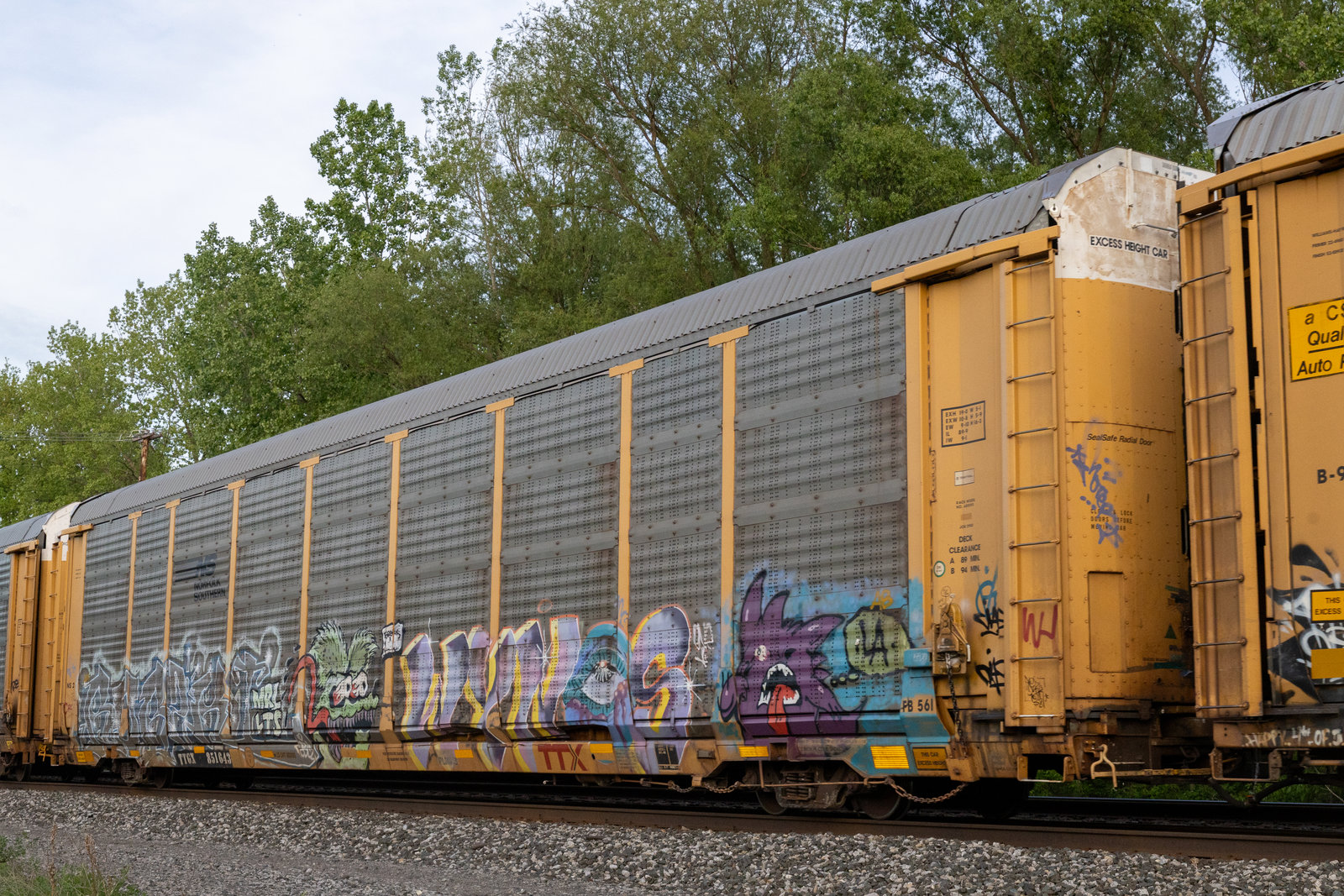 TTGX 851643