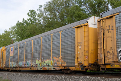 TTGX 851070