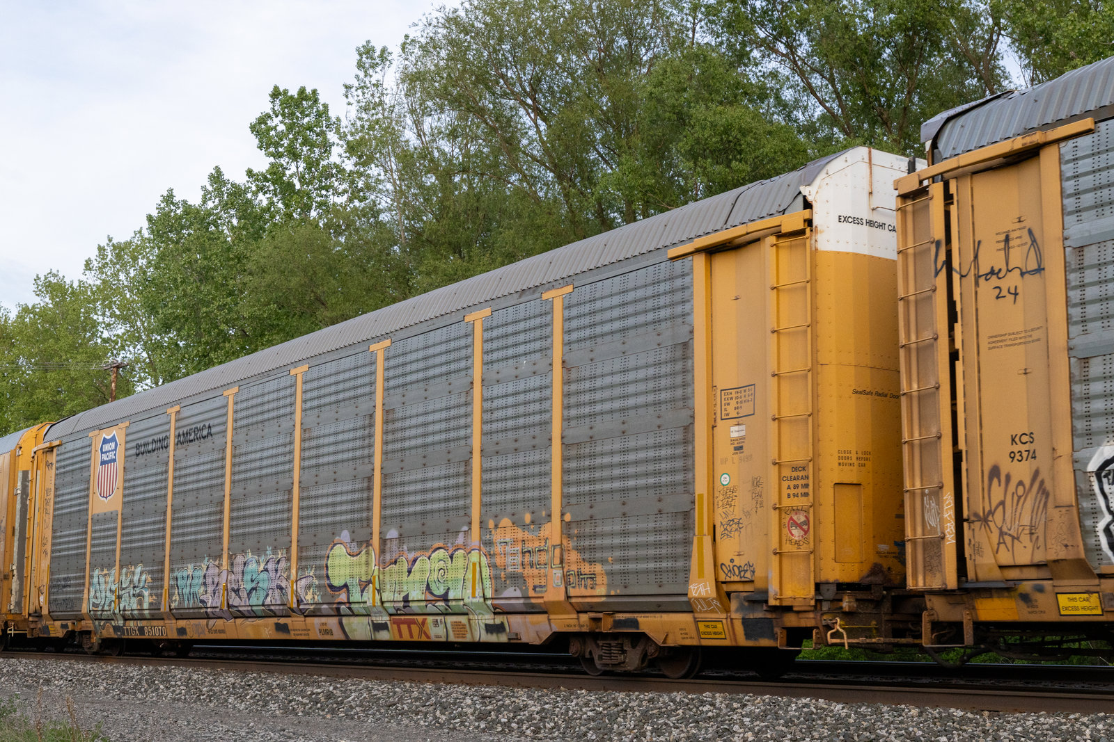 TTGX 851070