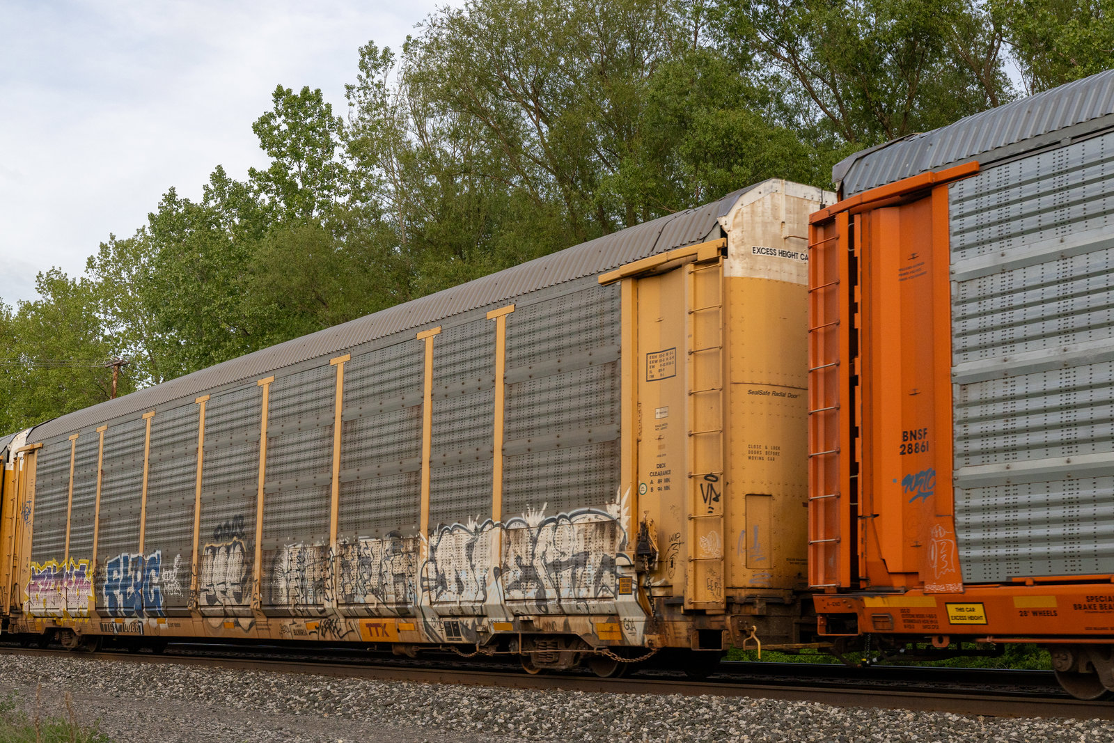 TTGX 700867