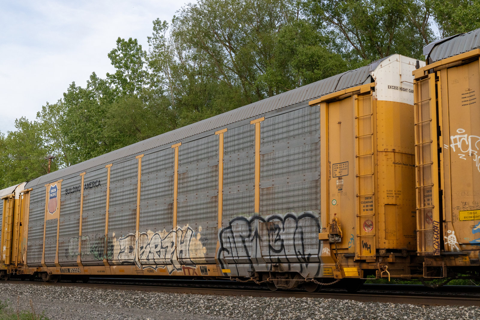 TTGX 853326