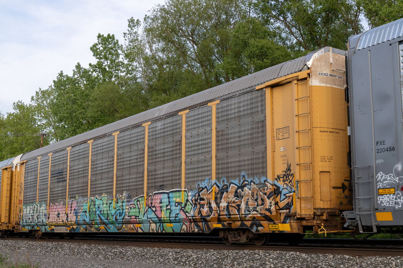 TTGX 851706