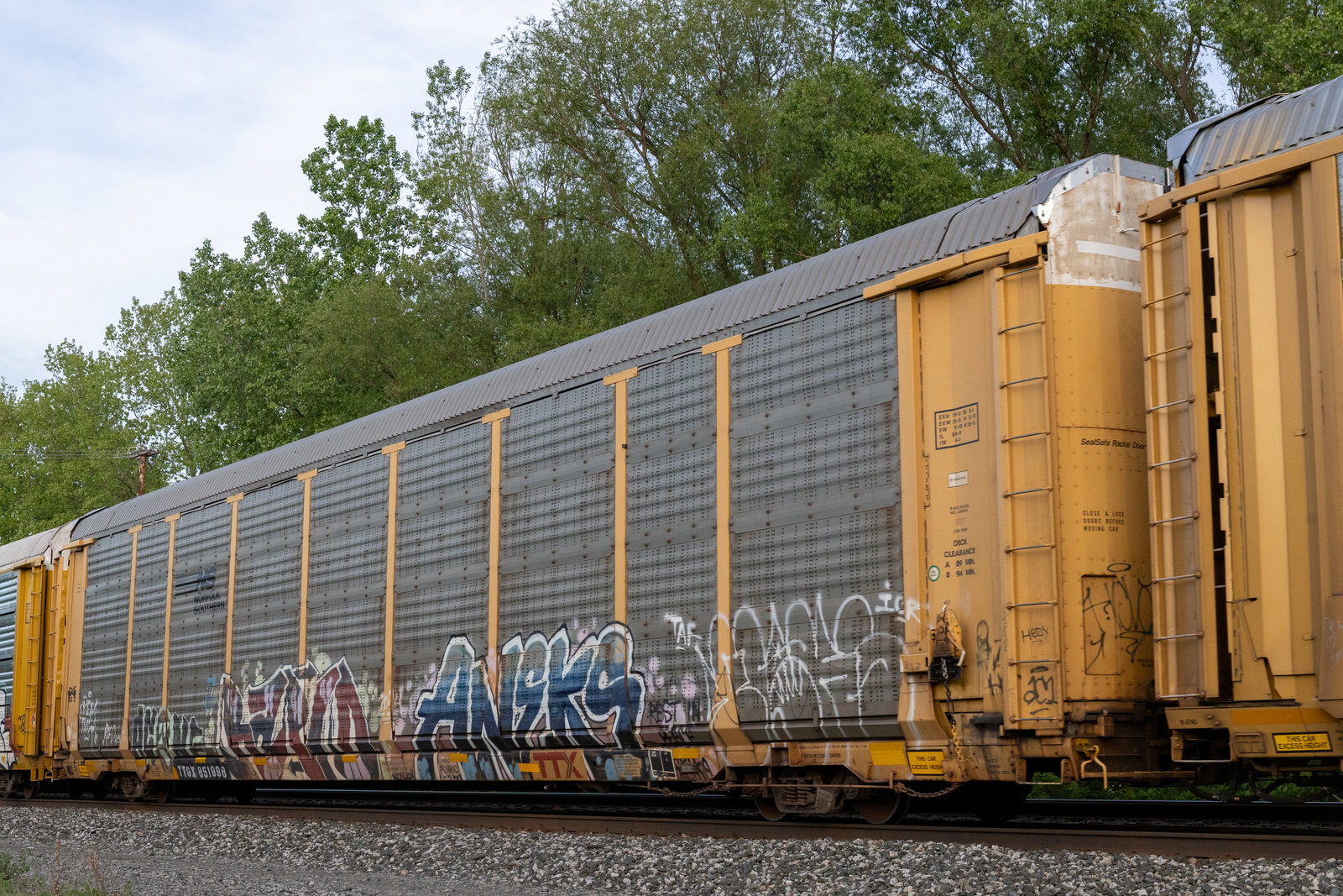 TTGX 851998