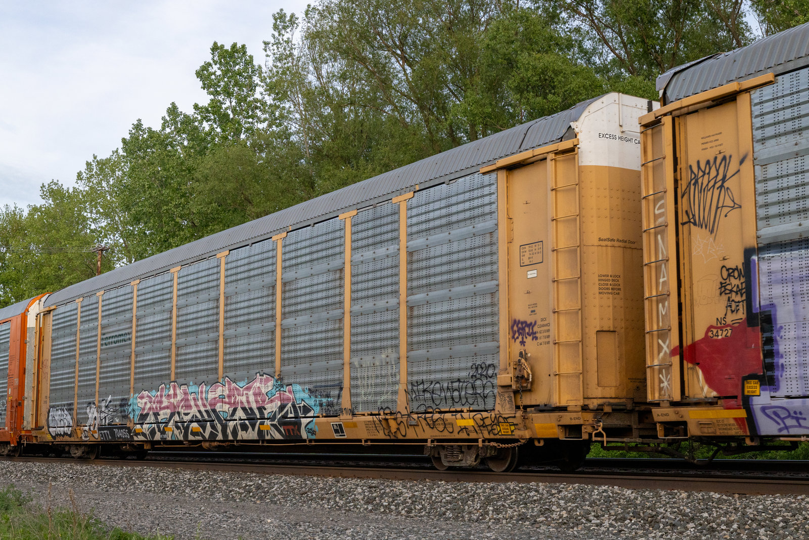 ETTX 704055