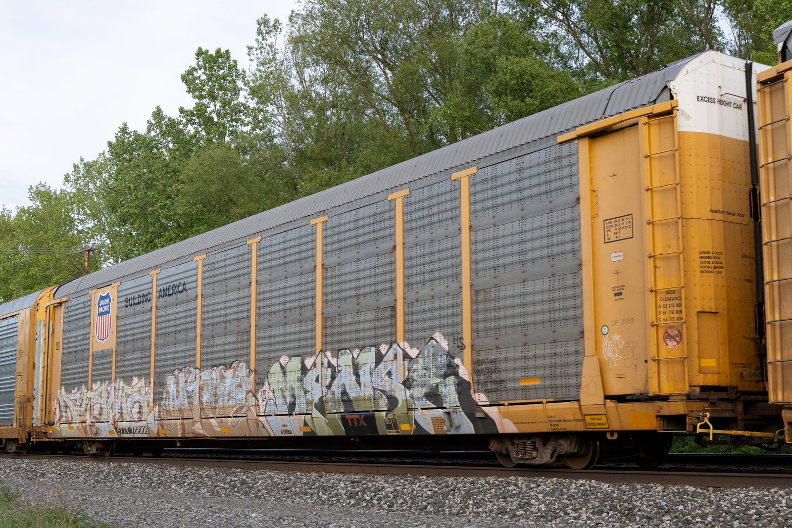ETTX 702006