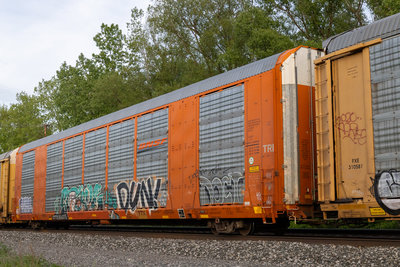 CTTX 694015