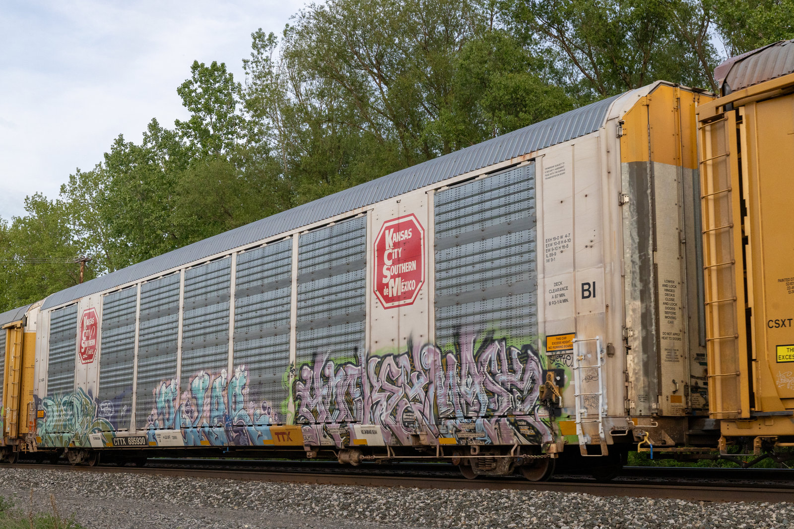 CTTX 695930