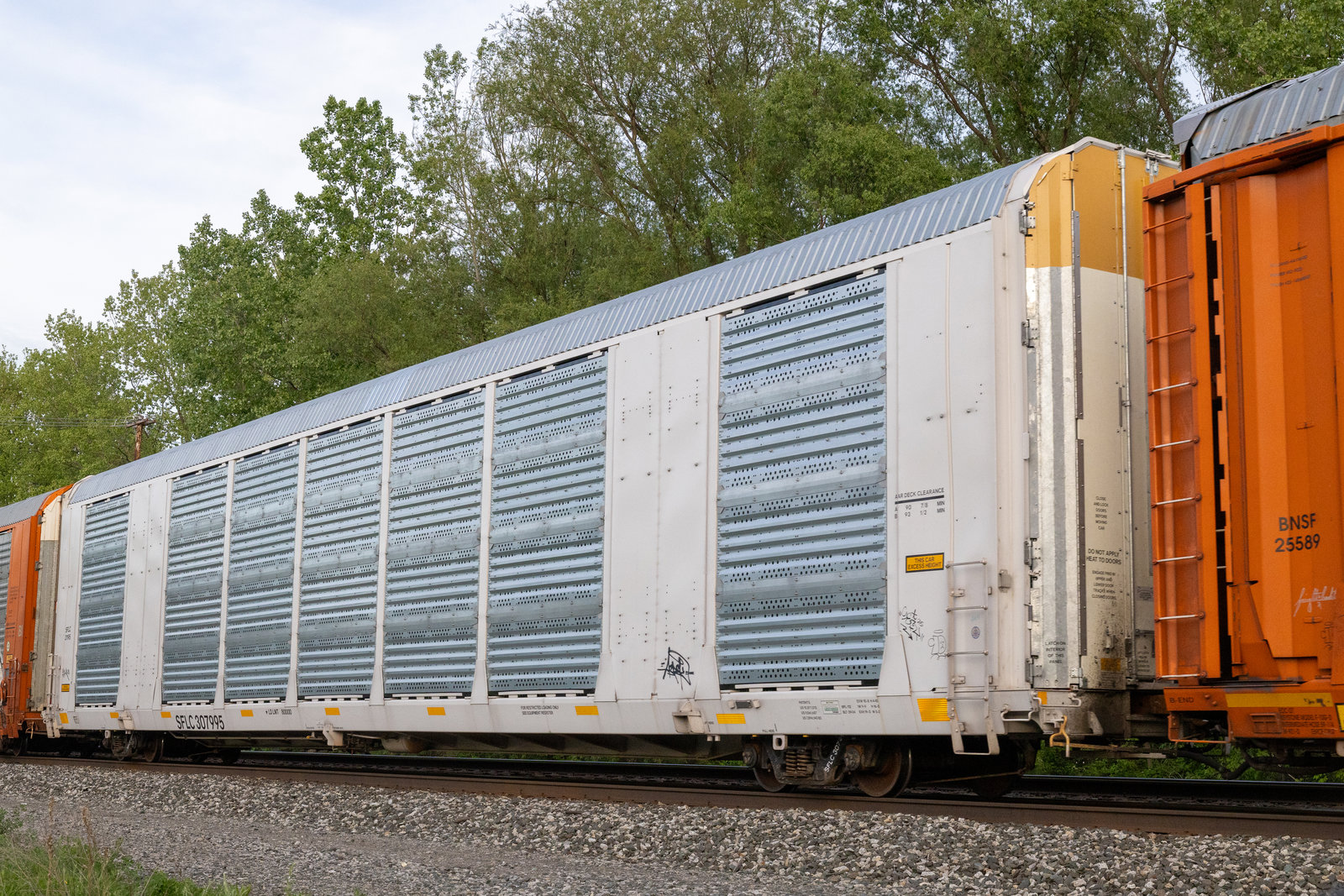 SFLC 307995