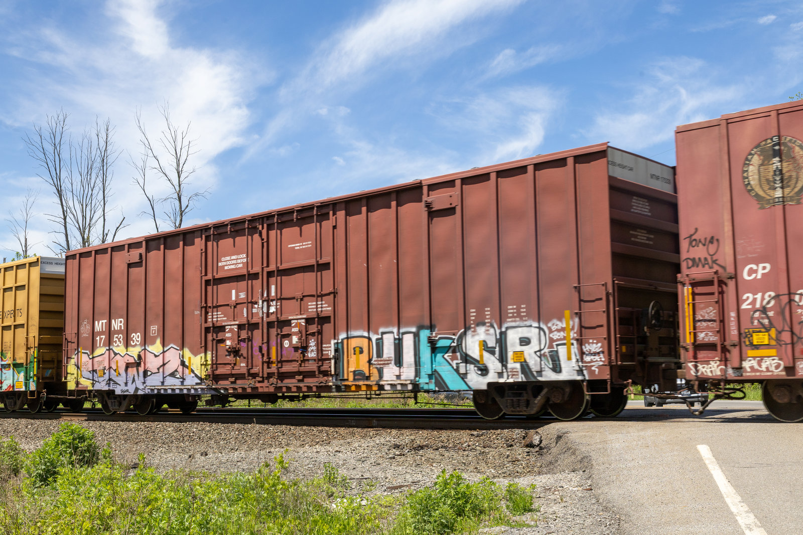 MTNR 175339