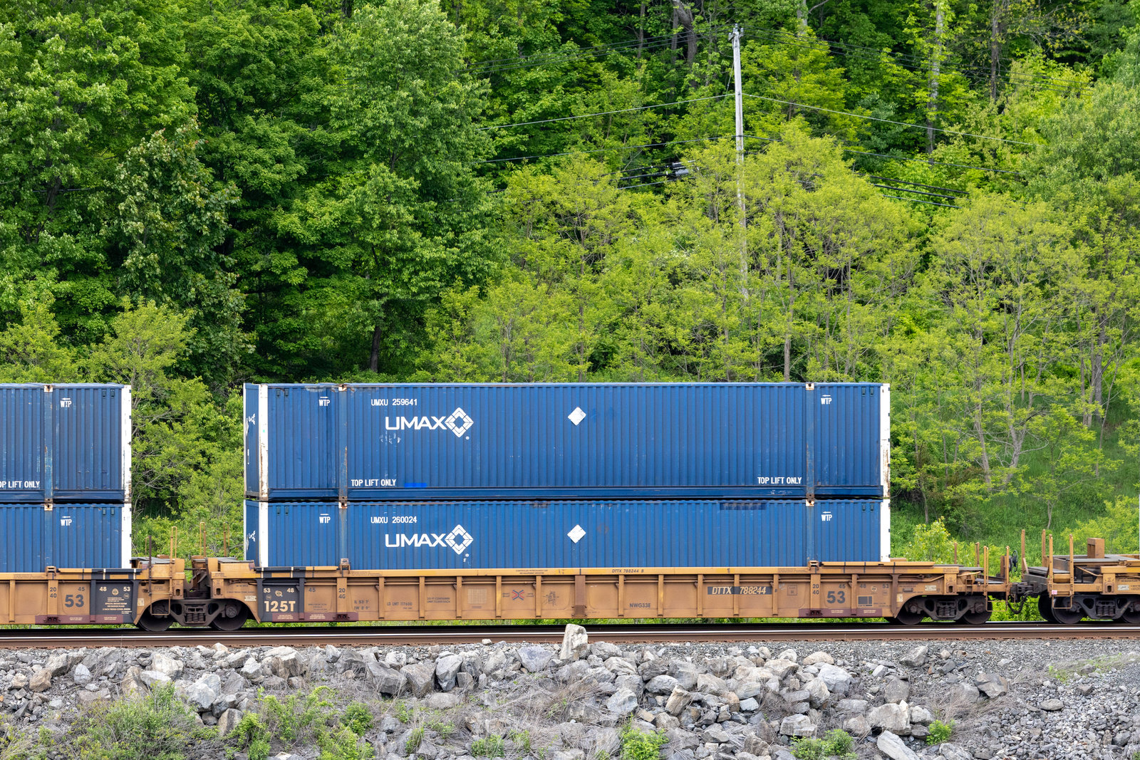 DTTX 788244B
