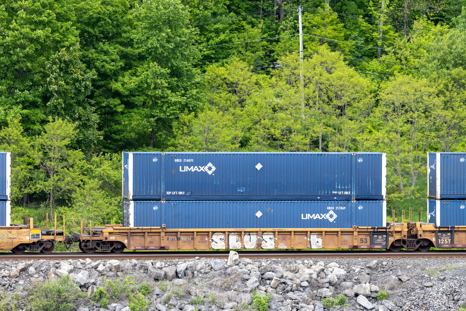 DTTX 788244A