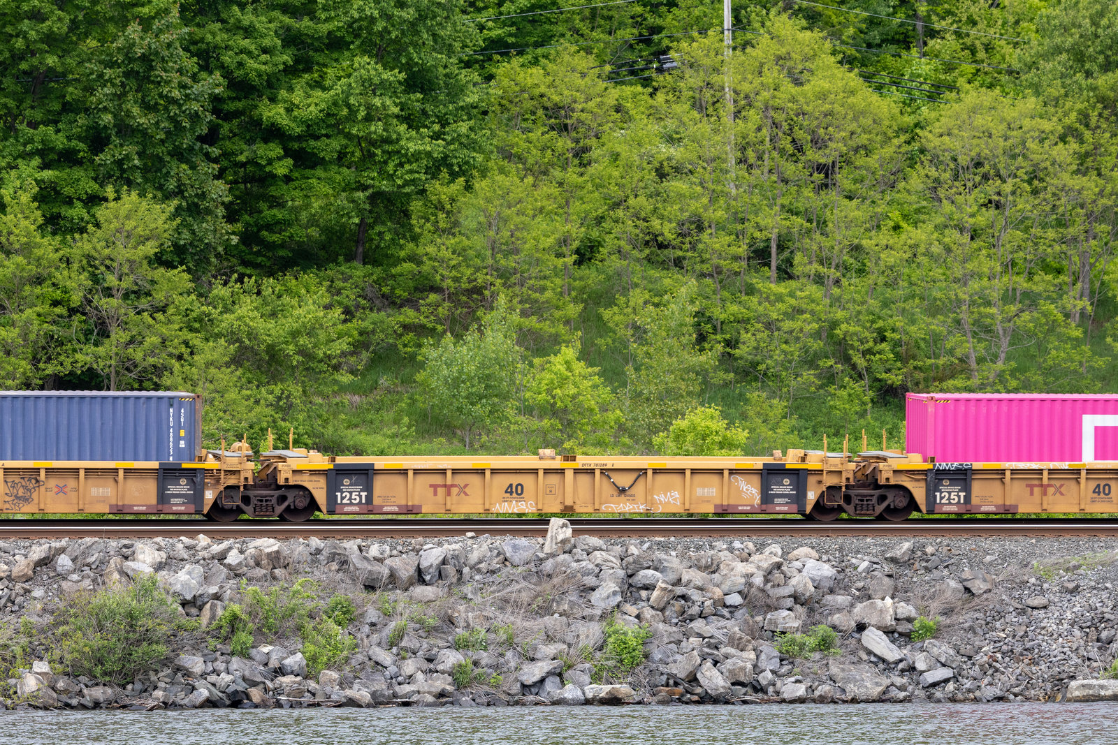 DTTX 781289E