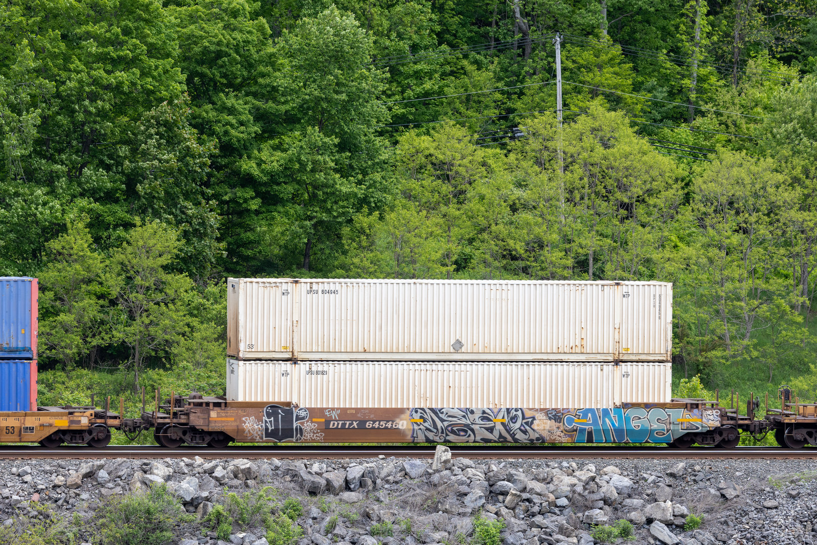DTTX 645460