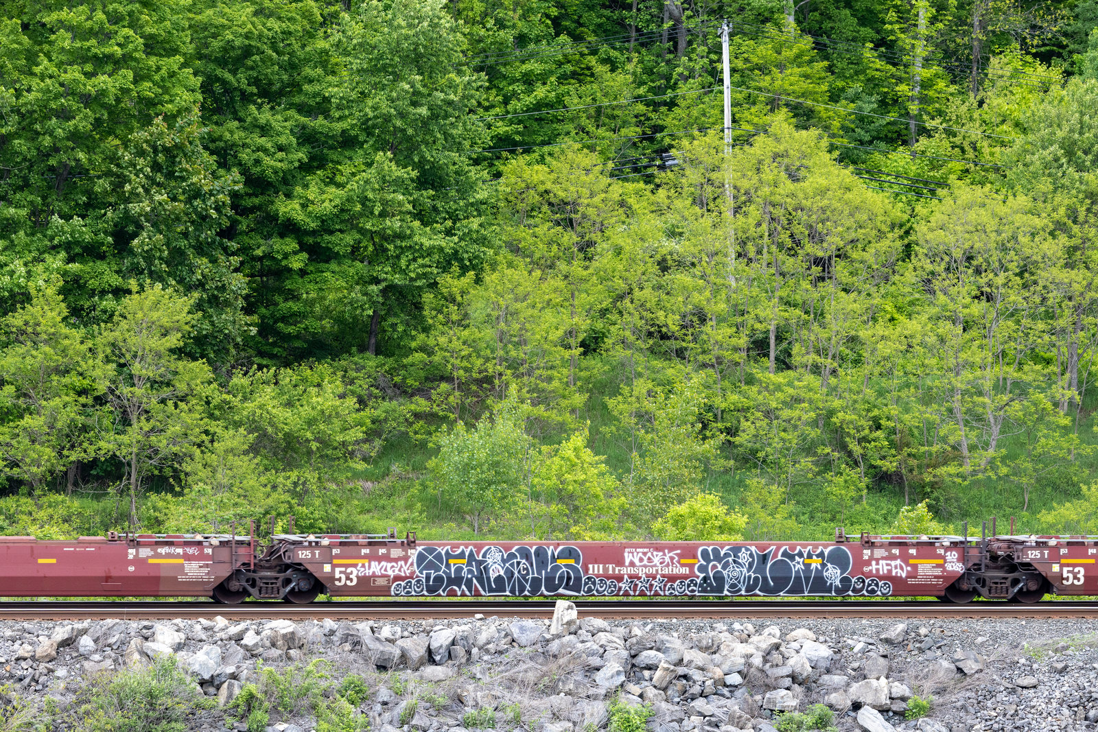 DTTX 890381C