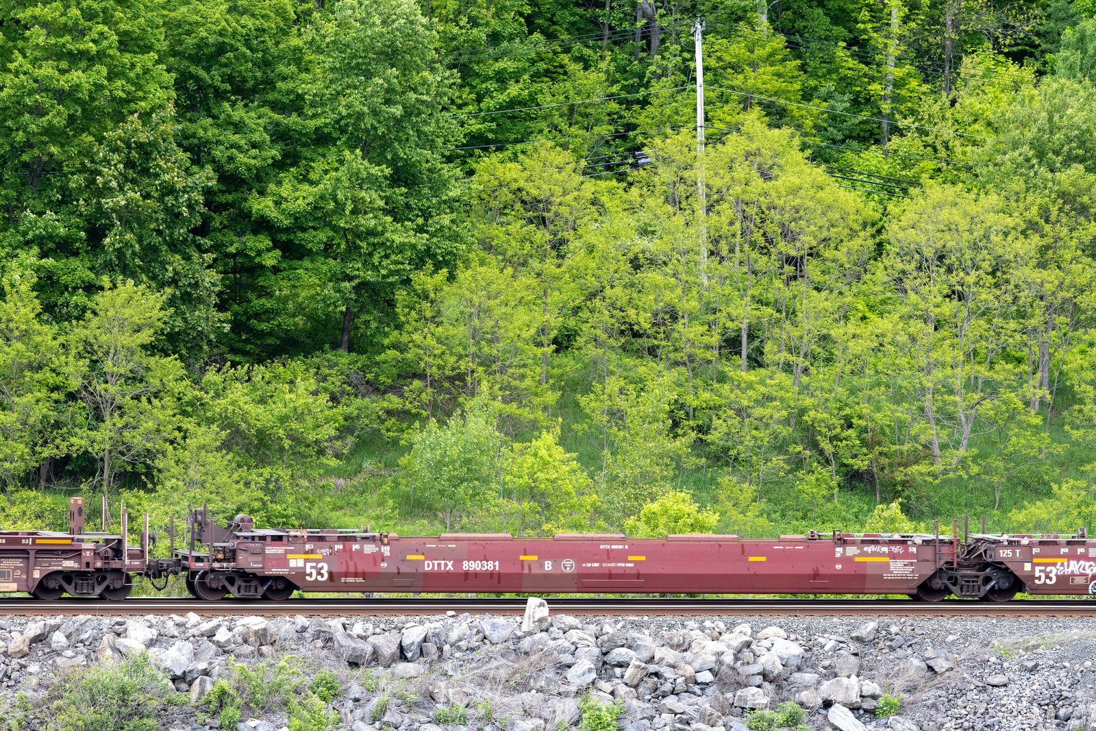 DTTX 890381B