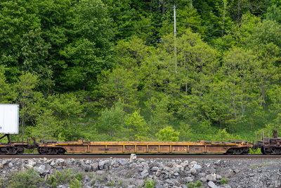 DTTX 466961