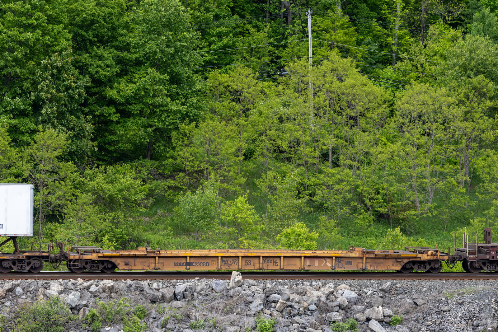 DTTX 466961