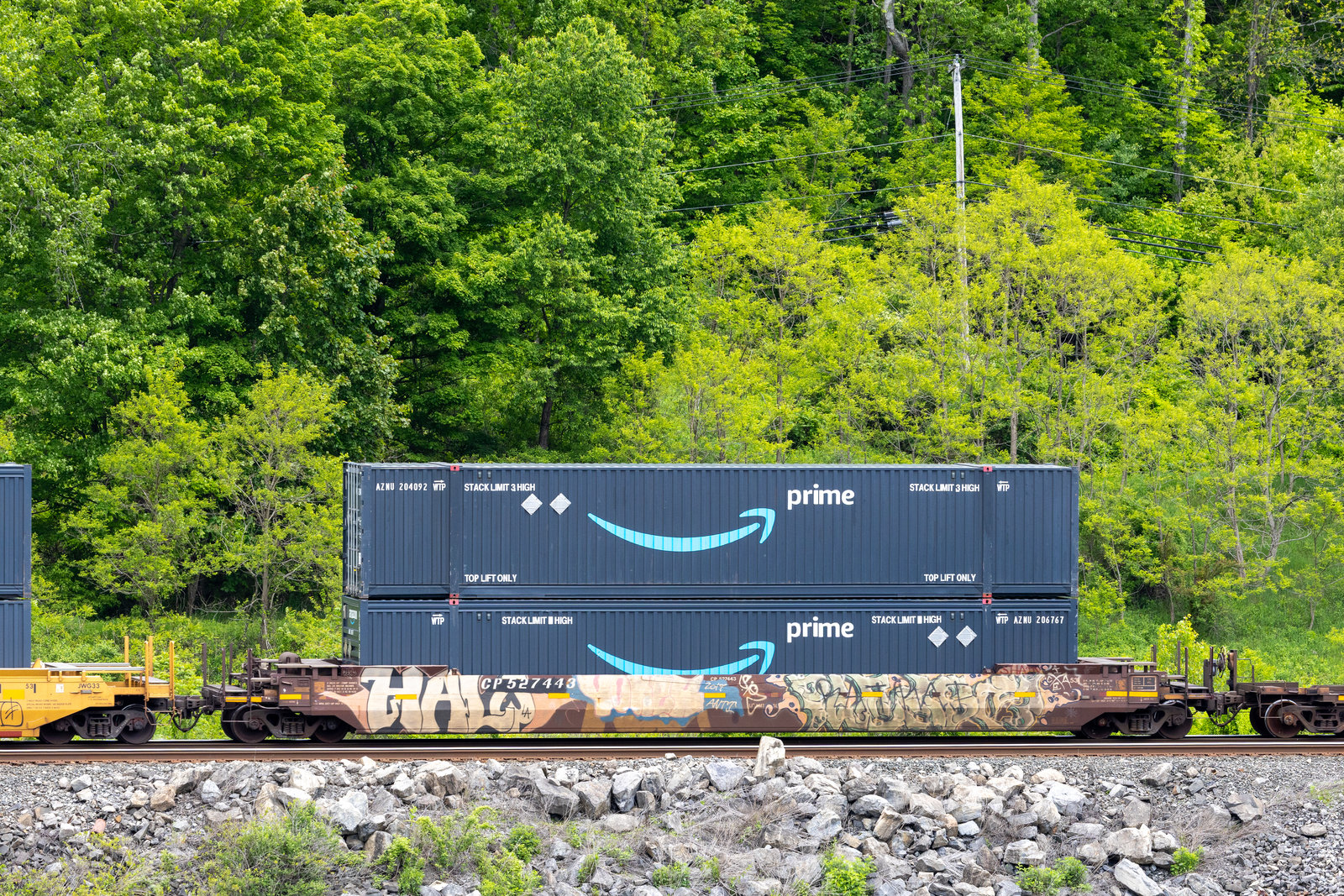 CP 527443