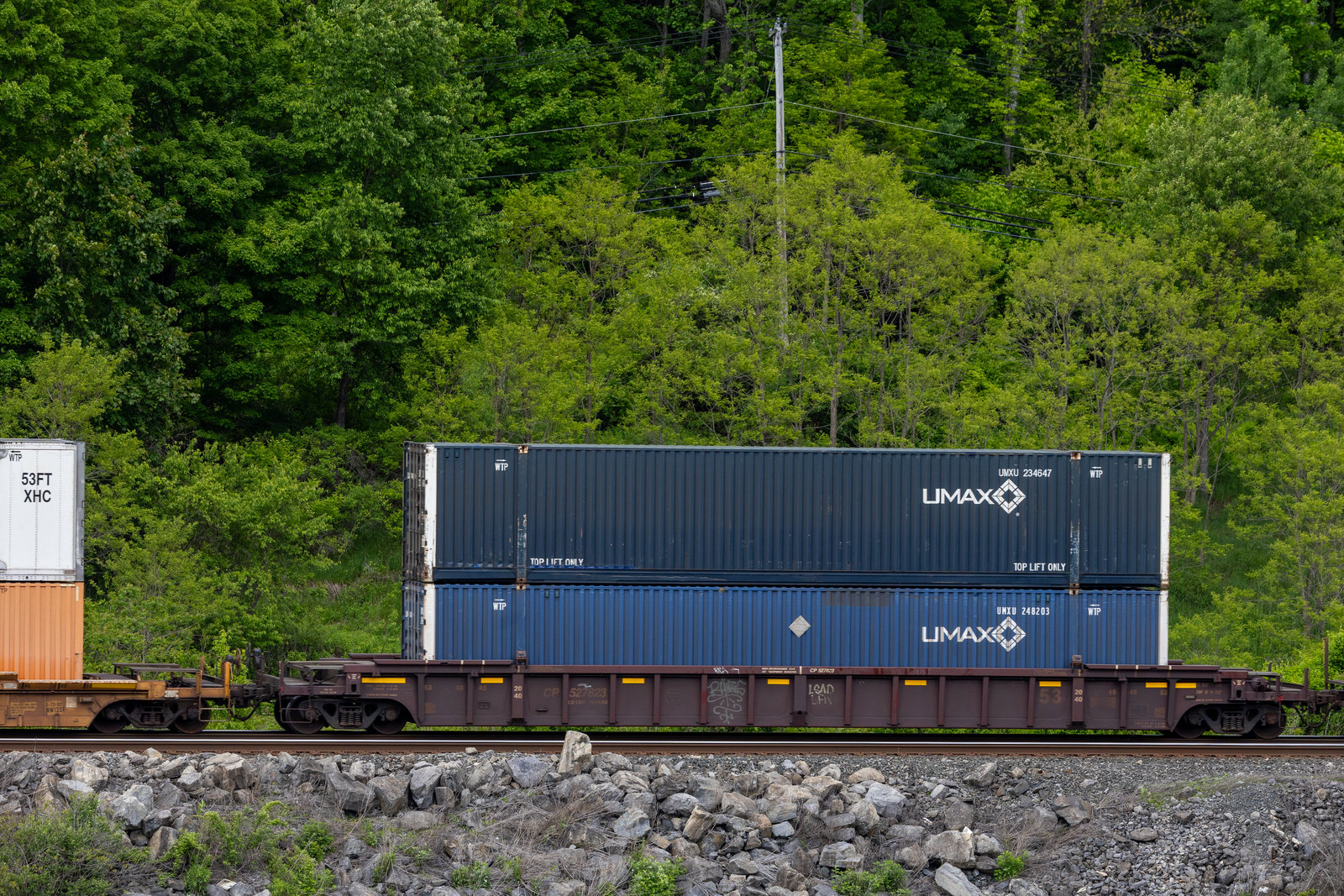 CP 527823