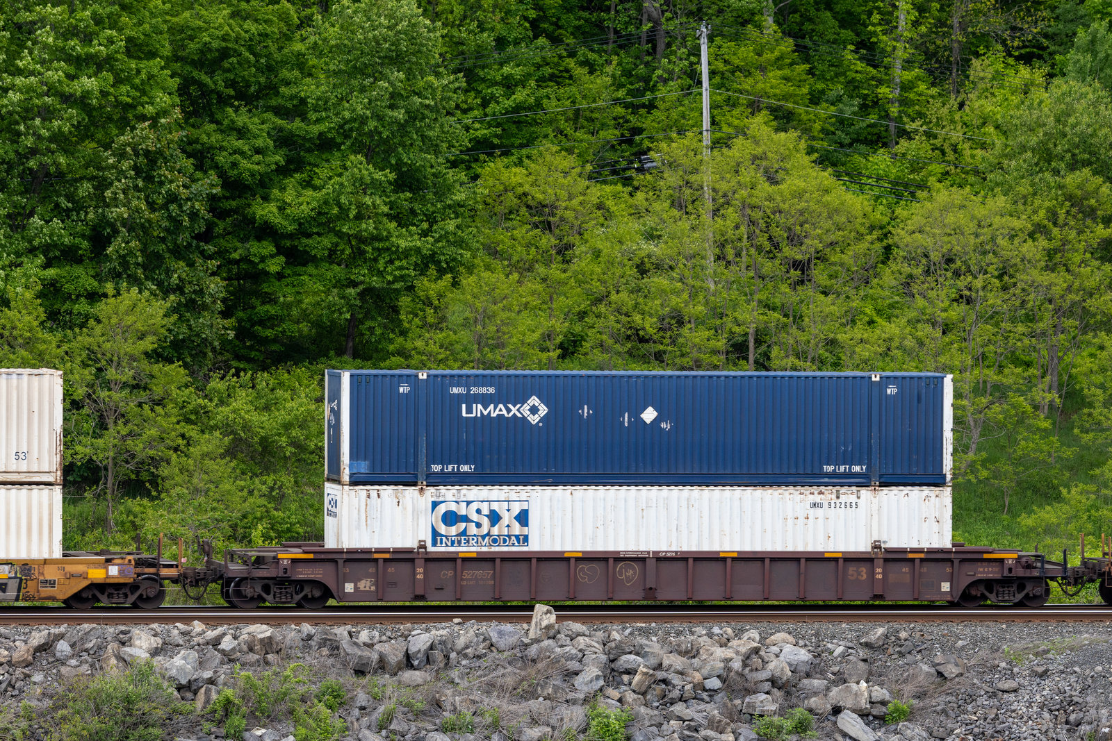 CP 527657