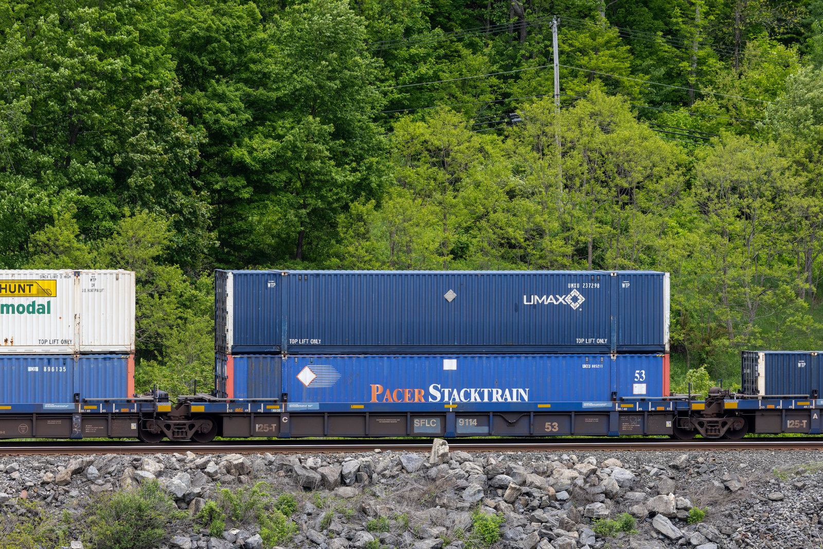 SFLC 9114C