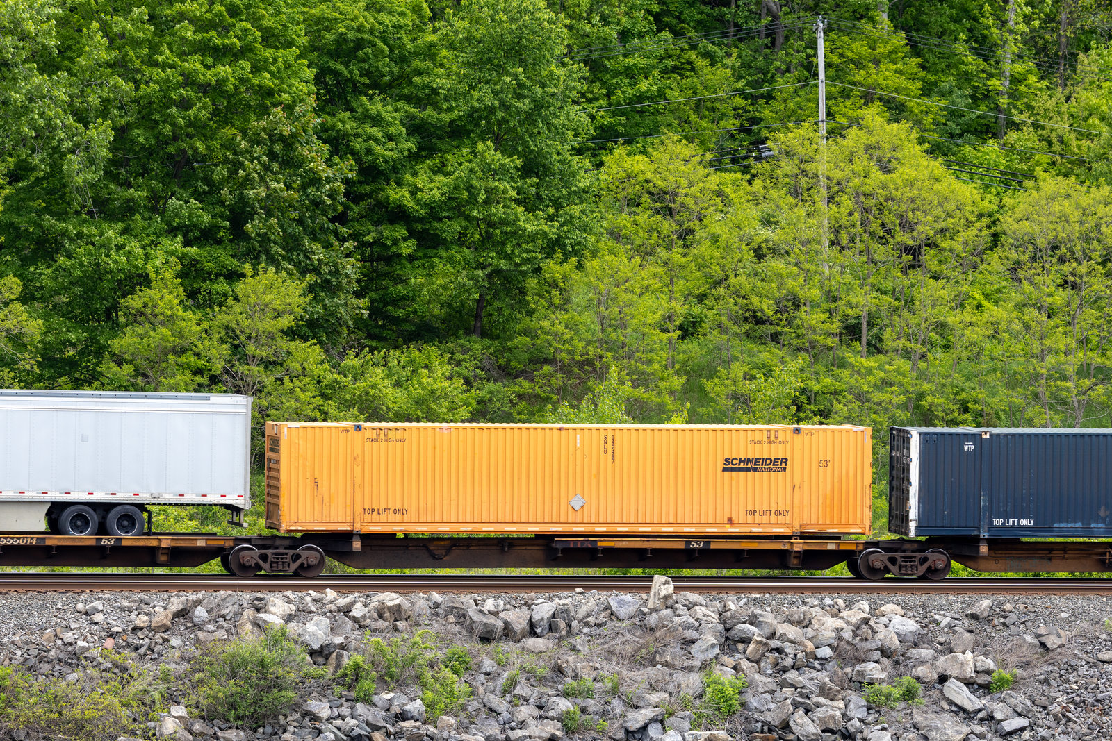 TTAX 555014C