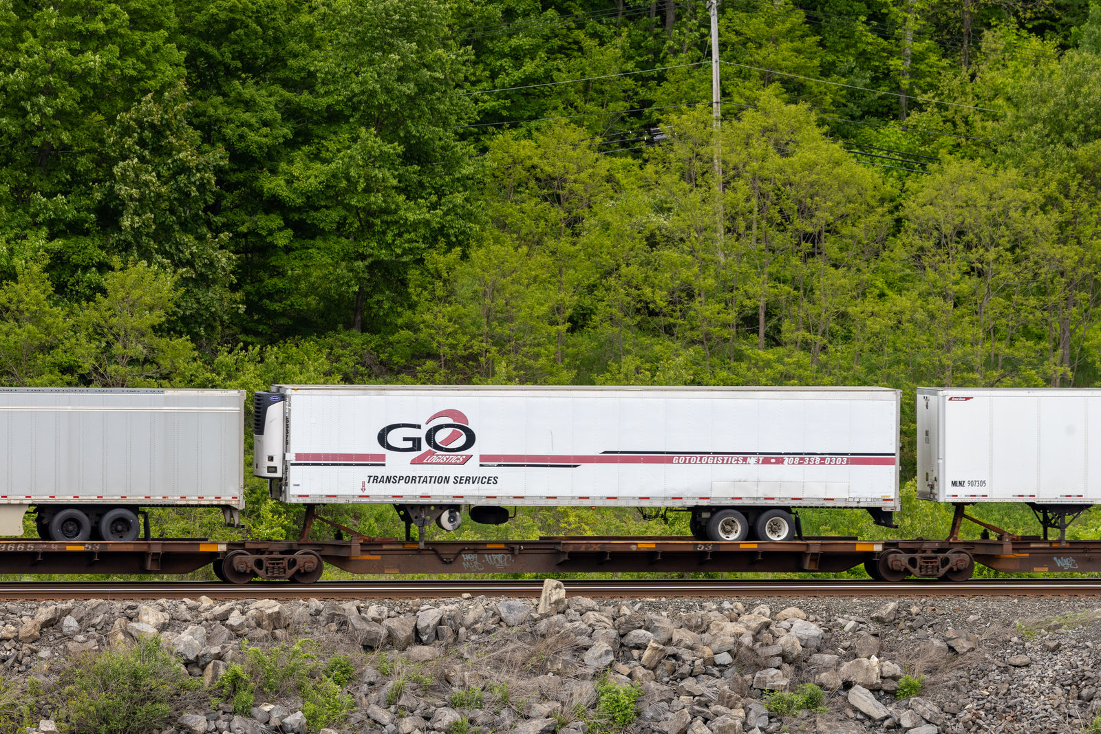 TTAX 553665C